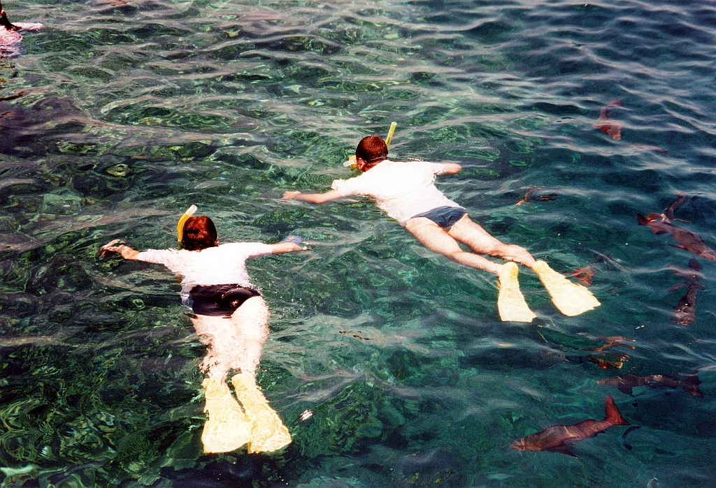 2000 - Australie 282T.jpg